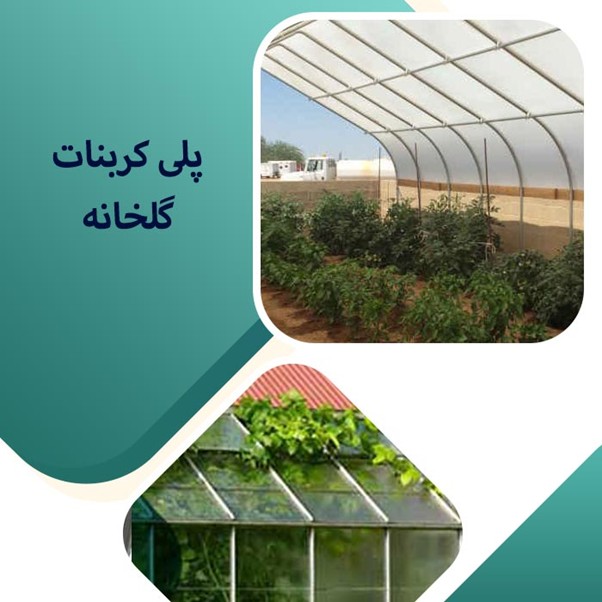 پلی کربنات مات یا شفاف؟ انتخاب مناسب برای گلخانه